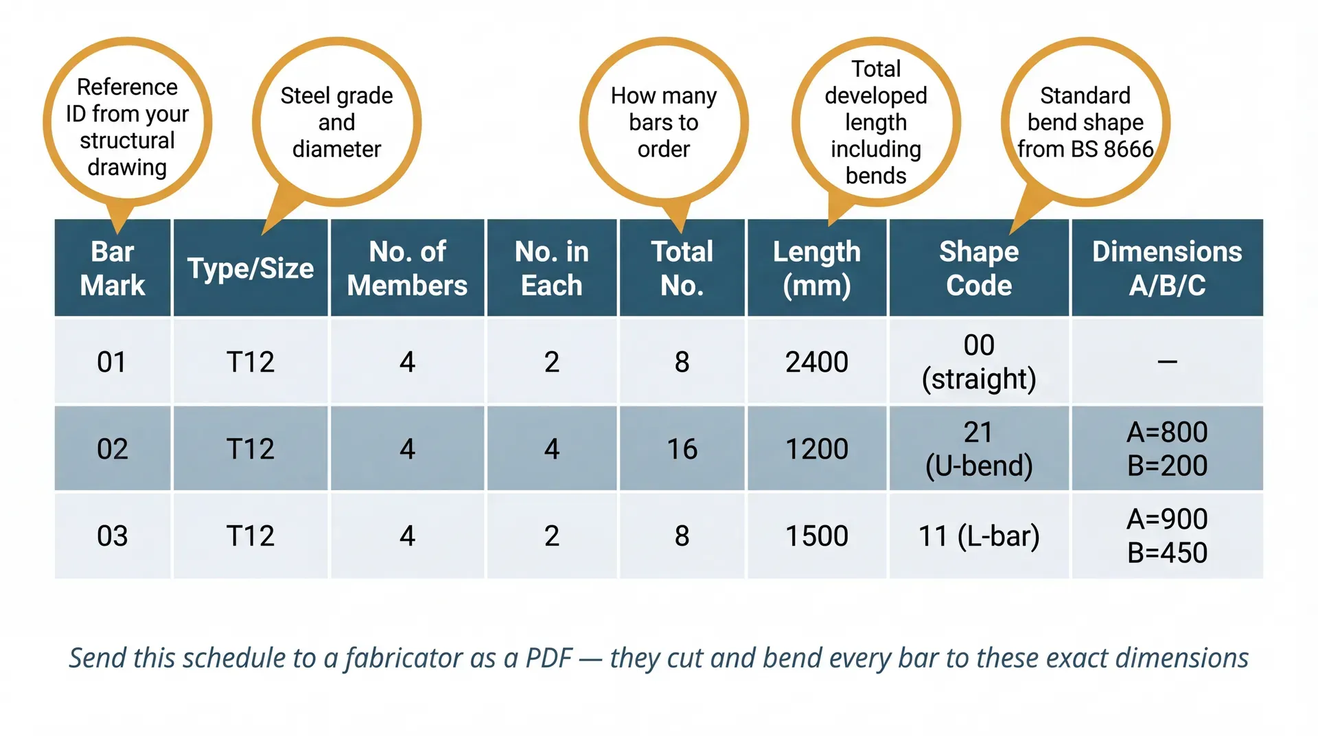 Annotated example of a structural engineer's bar bending schedule table showing columns for Bar Mark, Type/Size, Number of Members, Number in Each, Total Number, Length in mm, Shape Code, and Dimensions, with plain-English explanations of each column header and three example rows of T12 bar data