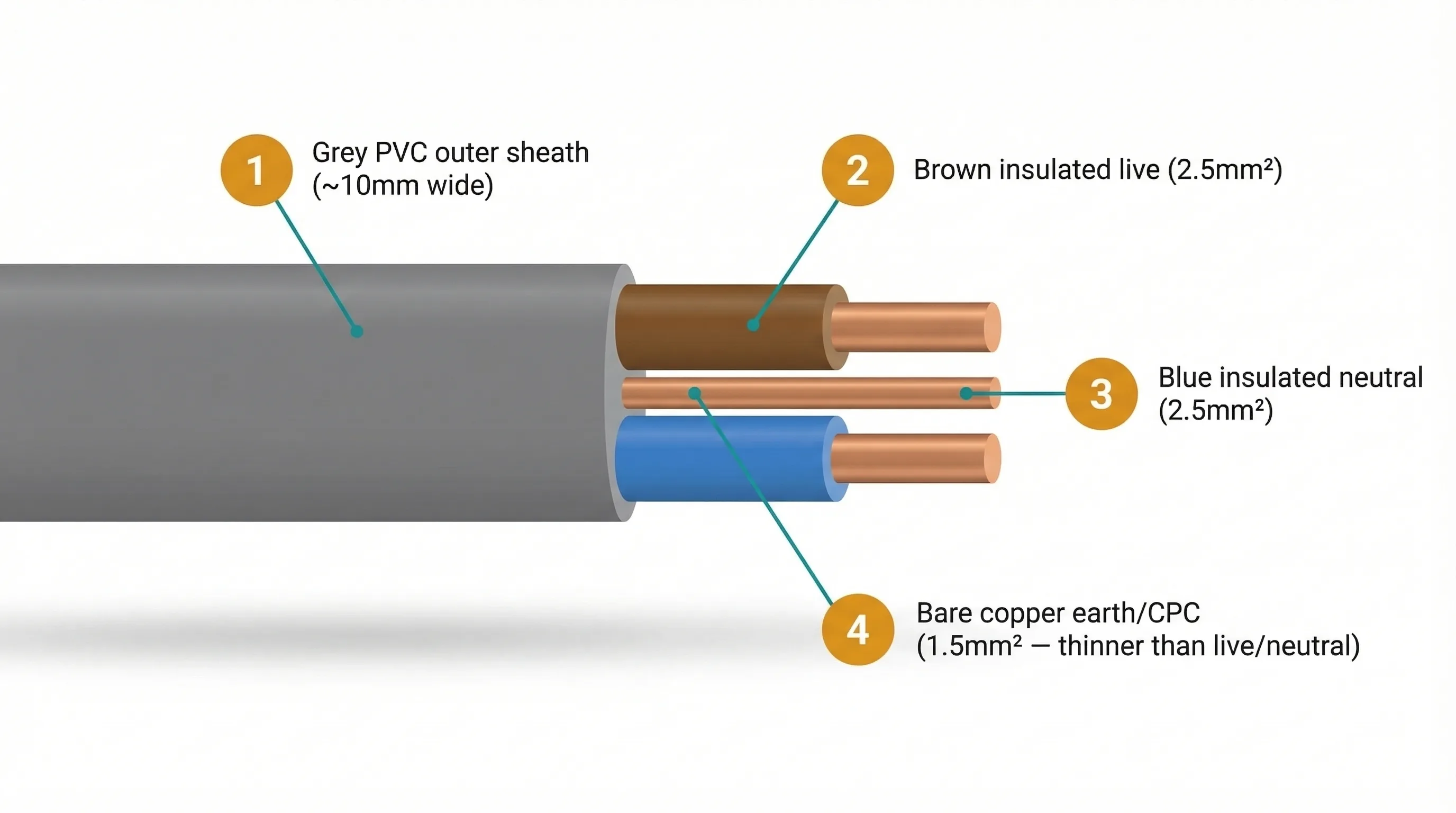 Cutaway cross-section of a 2.5mm 6242Y twin and earth cable showing the grey PVC outer sheath approximately 10mm wide, a brown PVC-insulated 2.5mm live conductor, a blue PVC-insulated 2.5mm neutral conductor, and a visibly thinner bare copper 1.5mm circuit protective conductor (earth/CPC) between them.