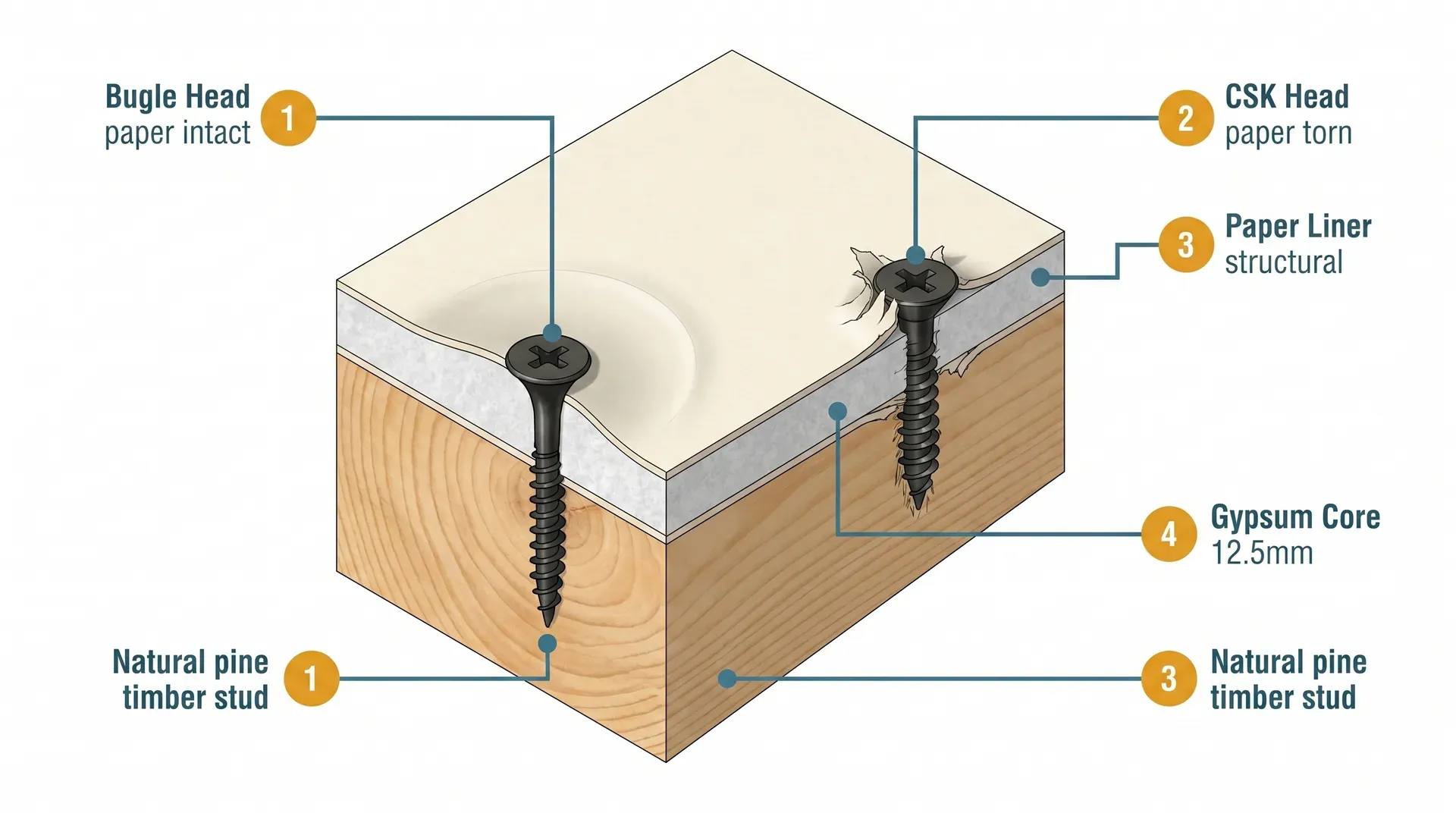 Cross-section diagram comparing the load distribution of a bugle head drywall screw and a standard countersunk wood screw driven through plasterboard, showing the bugle head dimpling the paper liner intact while the CSK head tears the paper