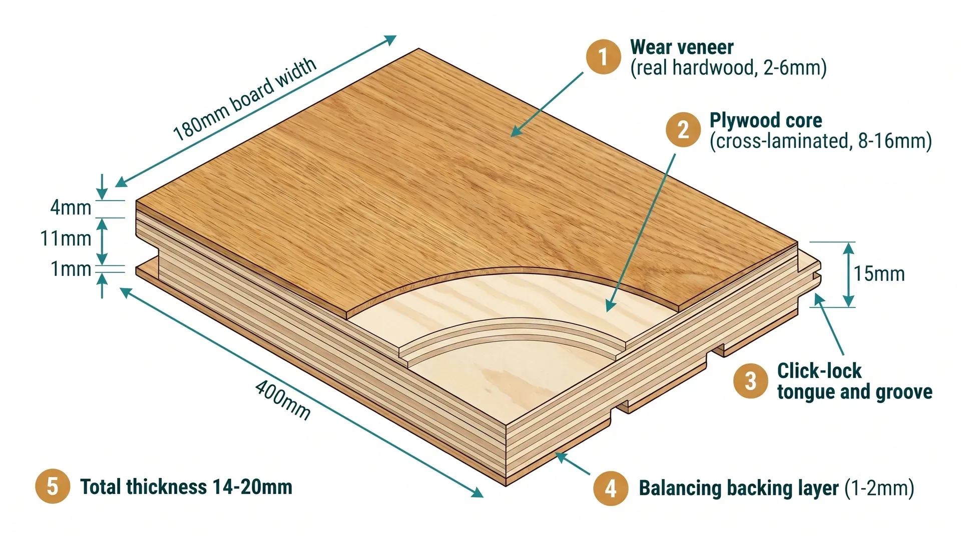 Isometric cutaway cross-section of a single engineered oak plank showing its internal layers: a 4mm real oak wear veneer on top with natural grain texture, a plywood core with 3-5 alternating cross-laminated plies, and a thin balancing backing layer underneath. Click-lock tongue and groove visible on the plank edge. Dimension annotations show 4mm veneer, 11mm core, 1mm backing, and 15mm total thickness.