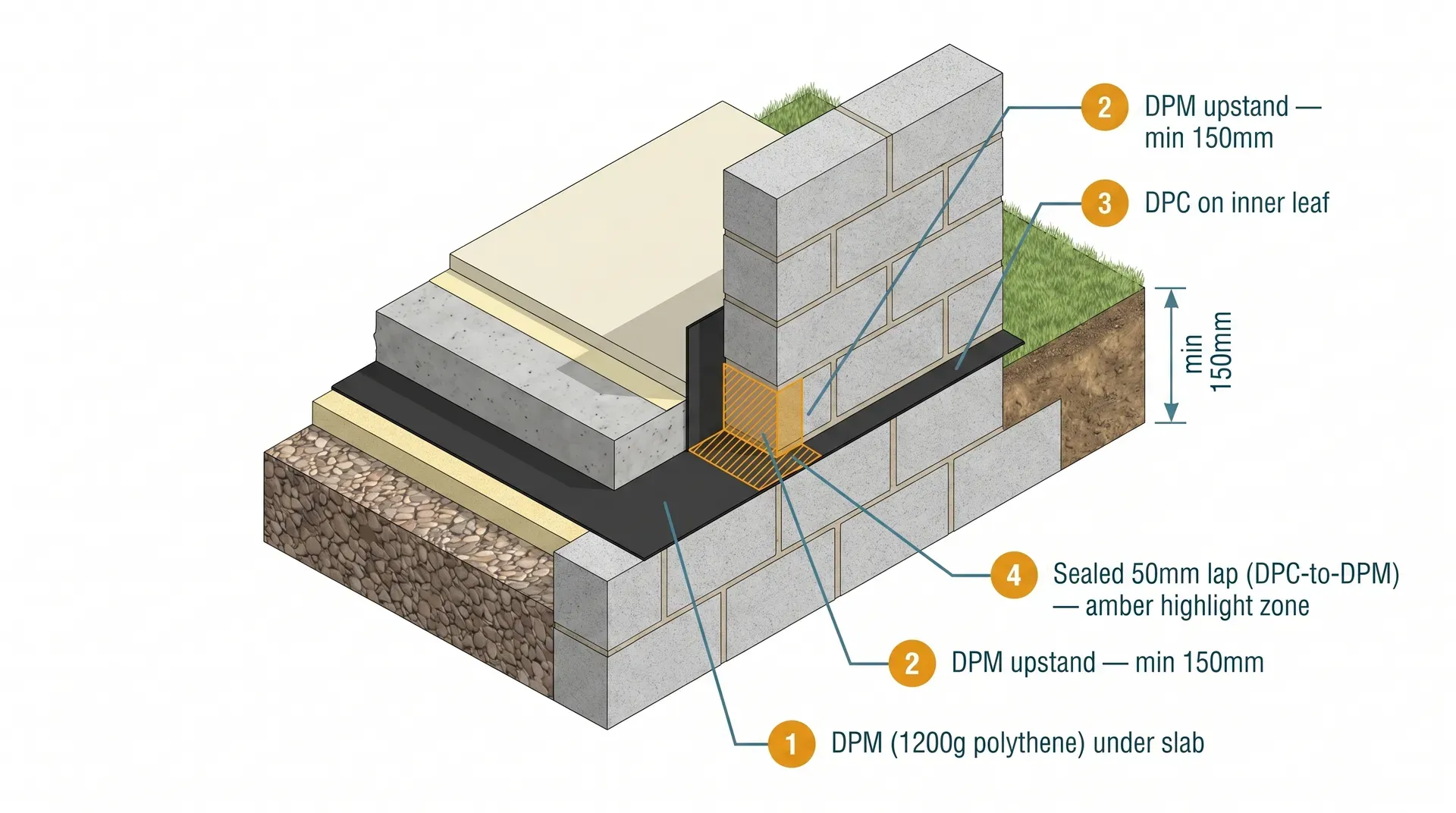 Isometric cutaway cross-section through the inner leaf wall and ground floor of a UK extension showing the correct DPC-to-DPM linkage: the 1200-gauge polythene DPM runs under the concrete slab and turns up the wall face as an upstand, with at least 50mm overlap onto the horizontal DPC strip bedded in the mortar course, the overlap zone highlighted in amber.