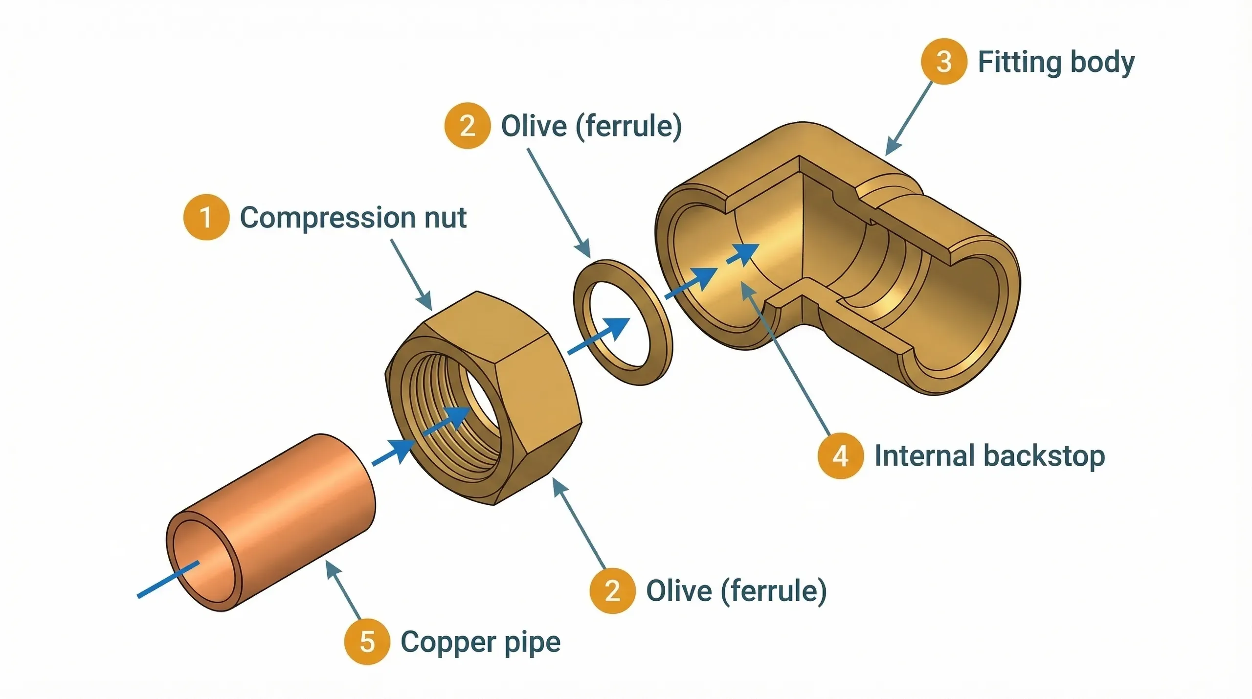 Exploded view of a brass compression fitting showing the three components: body, olive, and compression nut, with arrows indicating assembly direction