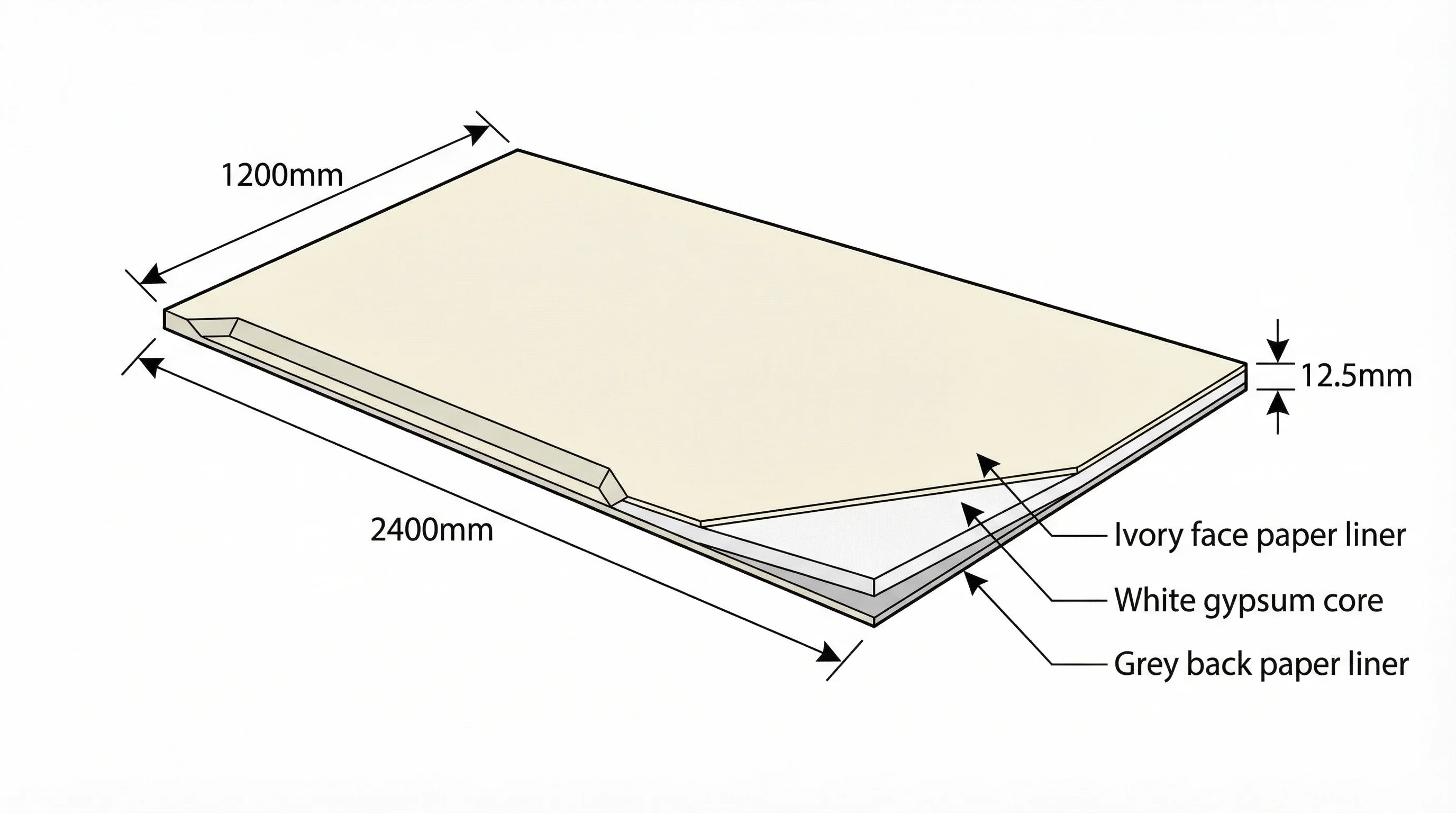 Technical diagram showing a standard 12.5mm plasterboard sheet with cross-section revealing the gypsum core sandwiched between paper liners, with dimension annotations