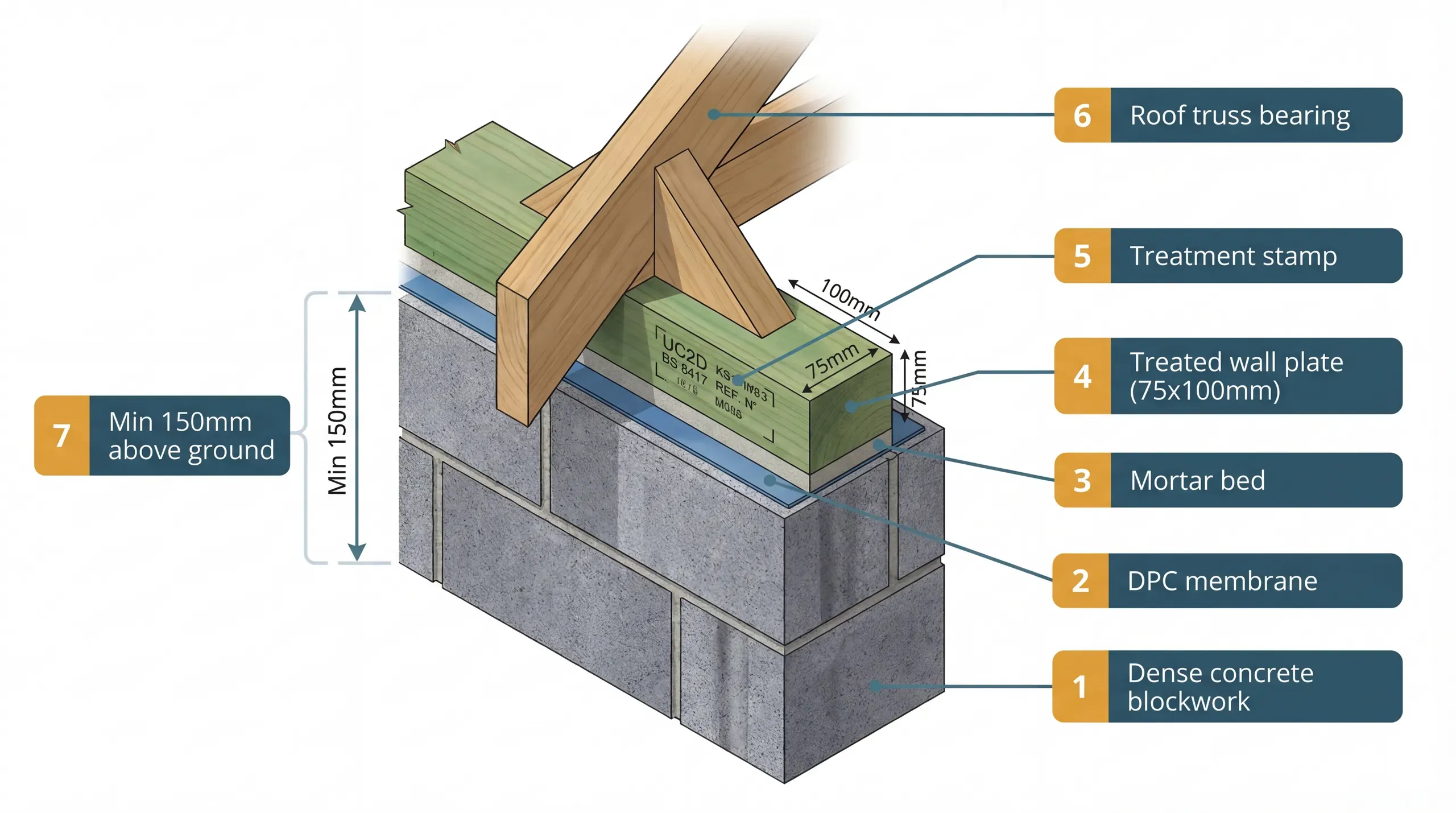 Technical cross-section diagram showing a treated timber wall plate bedded on DPC membrane on top of blockwork, with annotation labels for treatment stamp, green tint, mortar bed, and DPC layer