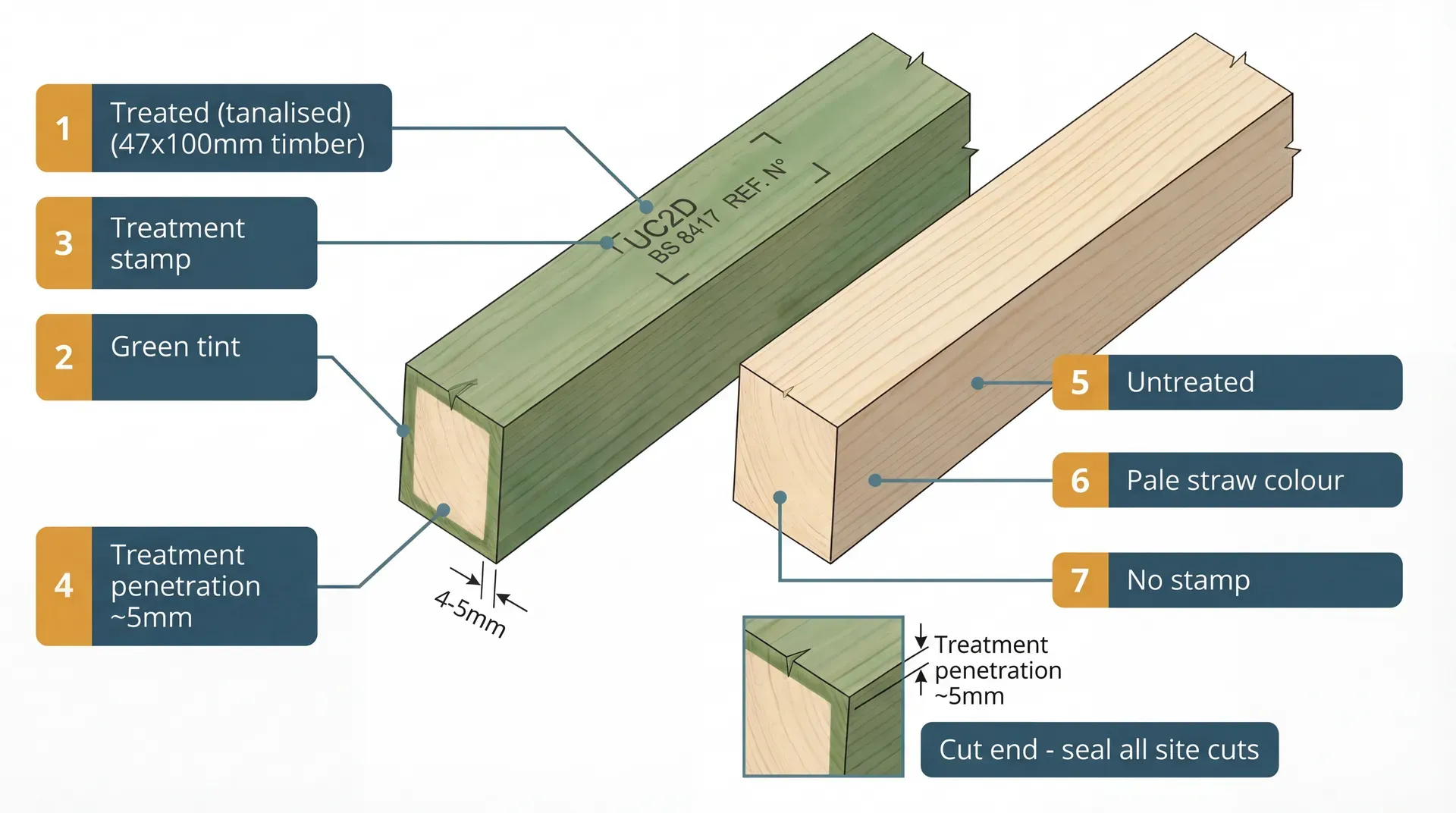 Side-by-side isometric comparison of treated and untreated 47x100mm timber. The treated piece on the left shows a green tint, a visible UC2D treatment stamp on its face, and a cross-section cut end revealing a thin green-tinted treatment ring of approximately 5mm surrounding a pale untreated core. The untreated piece on the right is uniform pale straw colour with no markings. An inset magnifies the cut end treatment penetration depth.