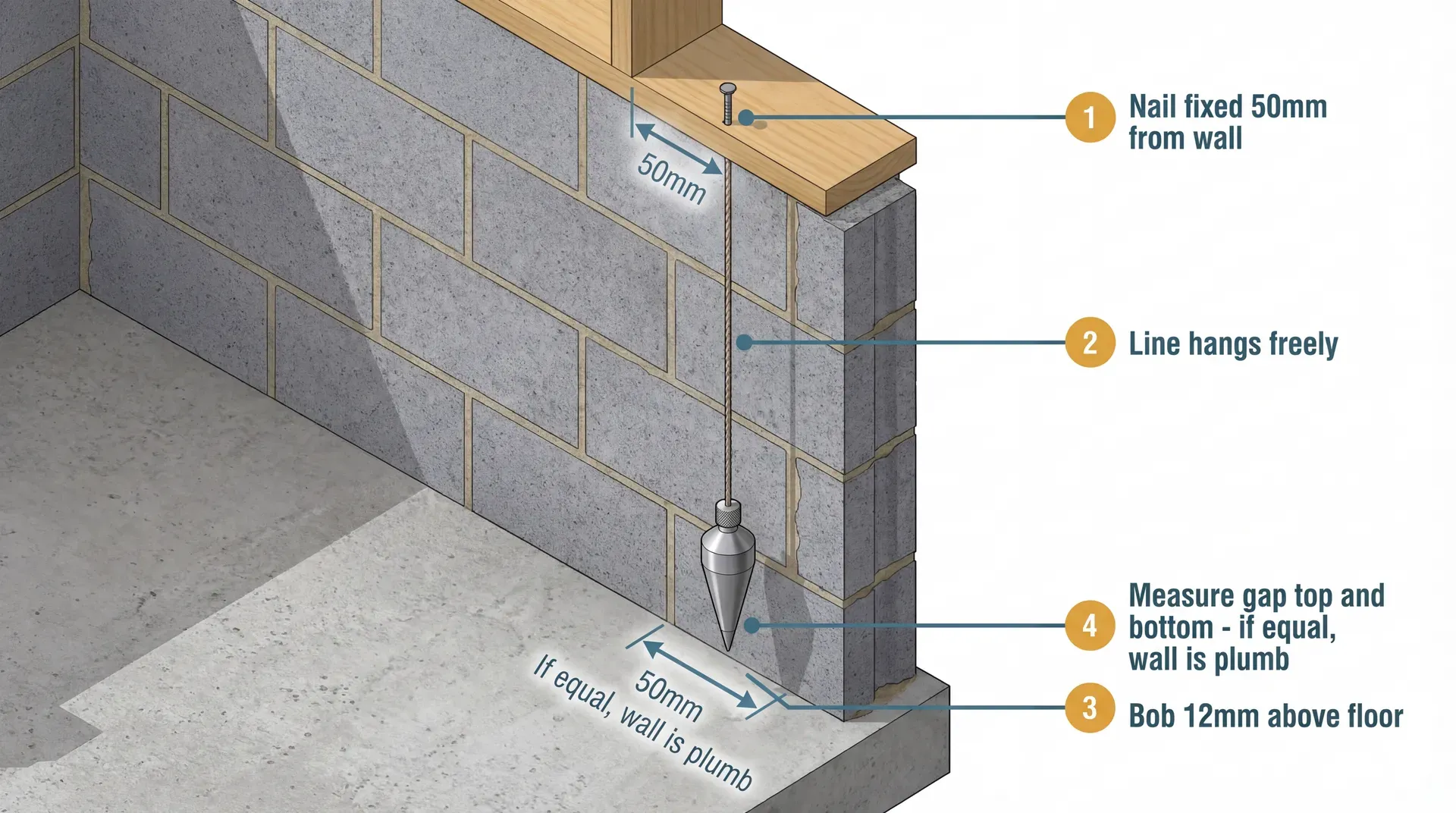 Technical diagram showing a plumb bob hanging from a nail fixed 50mm out from a blockwork wall, with the bob tip 12mm above the floor. Measurement arrows at top and bottom show the gap between line and wall. If both gaps are equal, the wall is plumb.